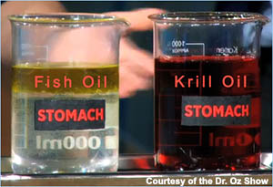 Krill oil
