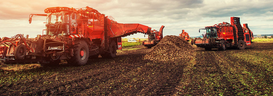 Big Agra profit-driven modern farming is stealing from every one in the world.